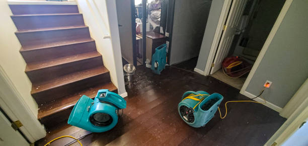Best Carpet water damage restoration  in Riverside, CA