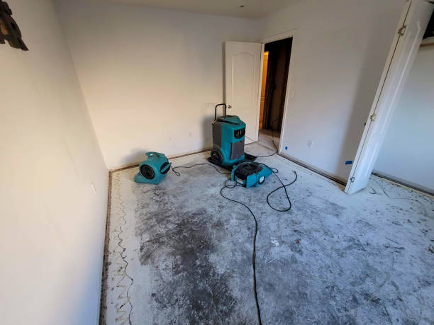 Best Flooded house restoration  in Riverside, CA