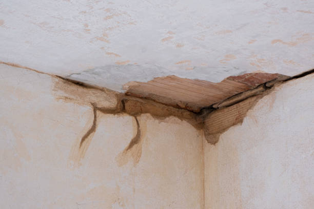 Best Basement water damage restoration  in Riverside, CA