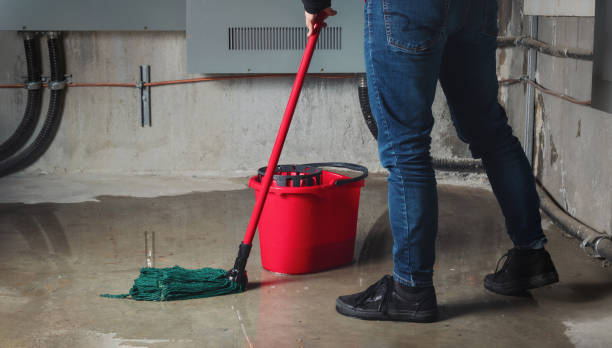 Best Flood damage cleanup  in Riverside, CA