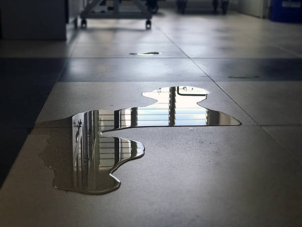 Best Professional water damage repair  in Riverside, CA