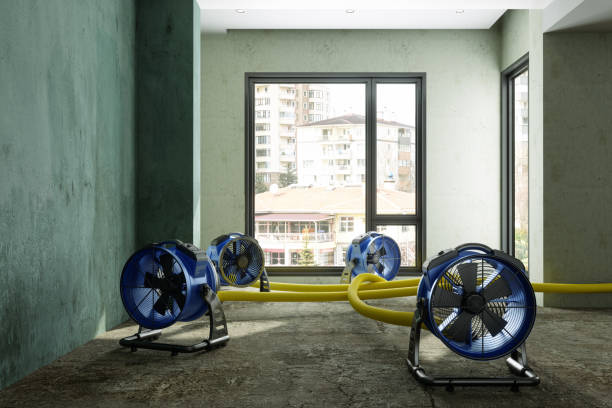 Best Water damage contractors near me  in Riverside, CA