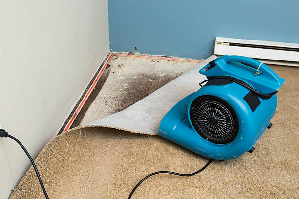 Best Water damage cleanup near me  in Riverside, CA